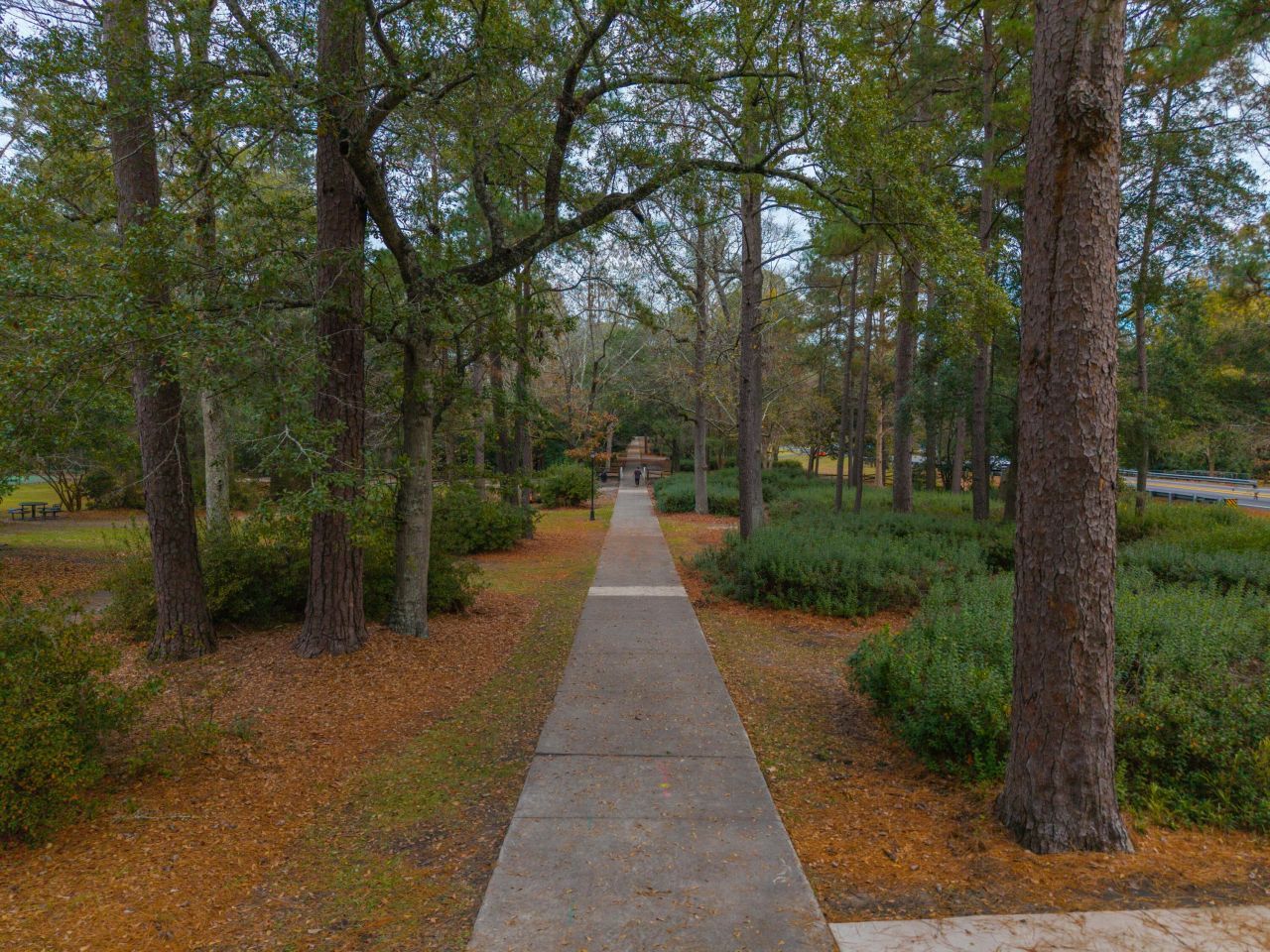 113 Germantown Road Photo 60