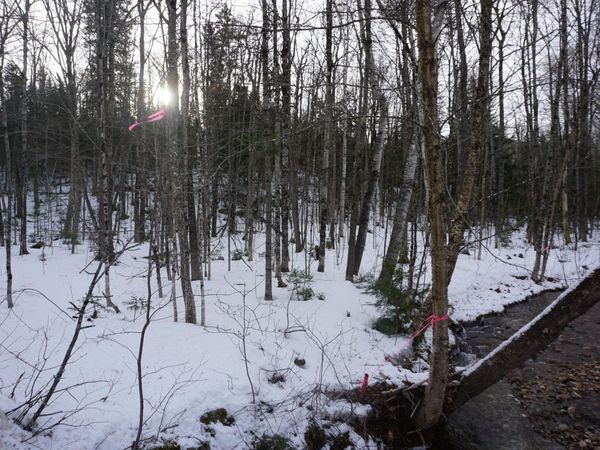 M13L18A-1 Redding Road , Woodstock, ME 04219