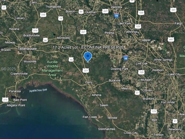 . McMullen Bridge Rd, Greenville, FL 32331