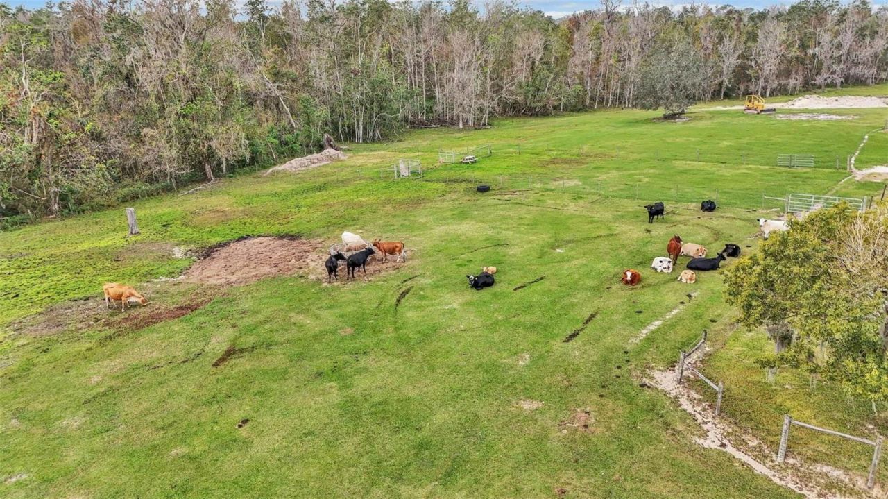 3182 Indian Ridge Place, Lakeland, FL 33810 Photo