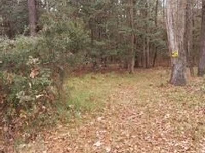 Lot 208 Prices Bridge Lane, Walterboro, SC 29488
