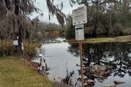 Lot 208 Prices Bridge Lane photo 4