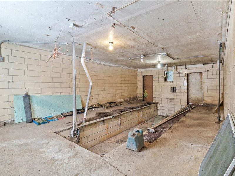 17683 OH-117, Waynesfield, OH 45896 Photo 44