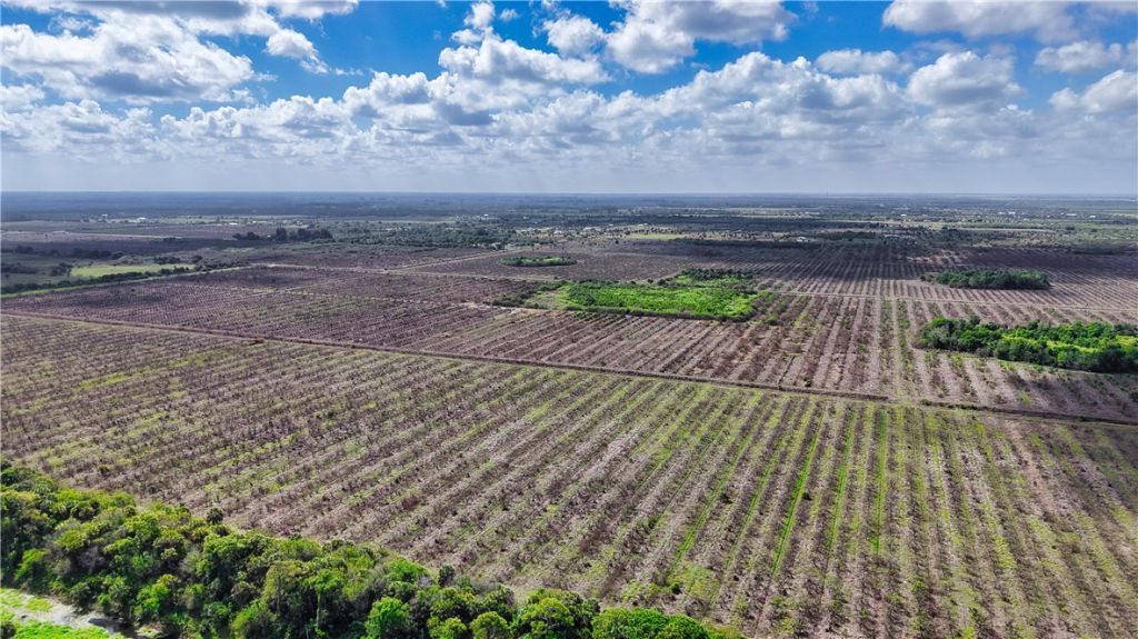 15355 117th Street, Fellsmere, FL 32948 Photo