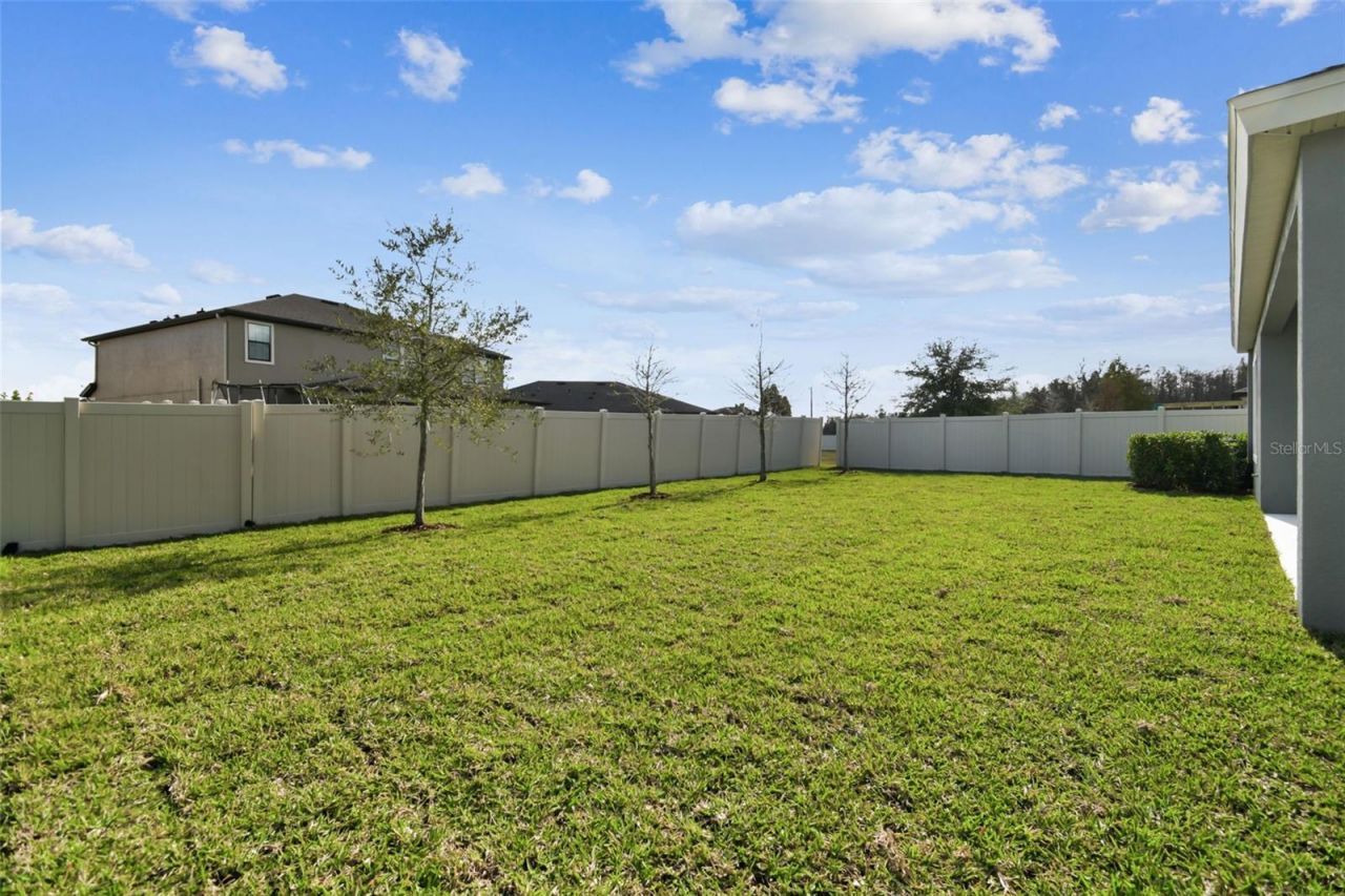 21987 Emory Oak Place, Land O Lakes, FL 34637 Photo