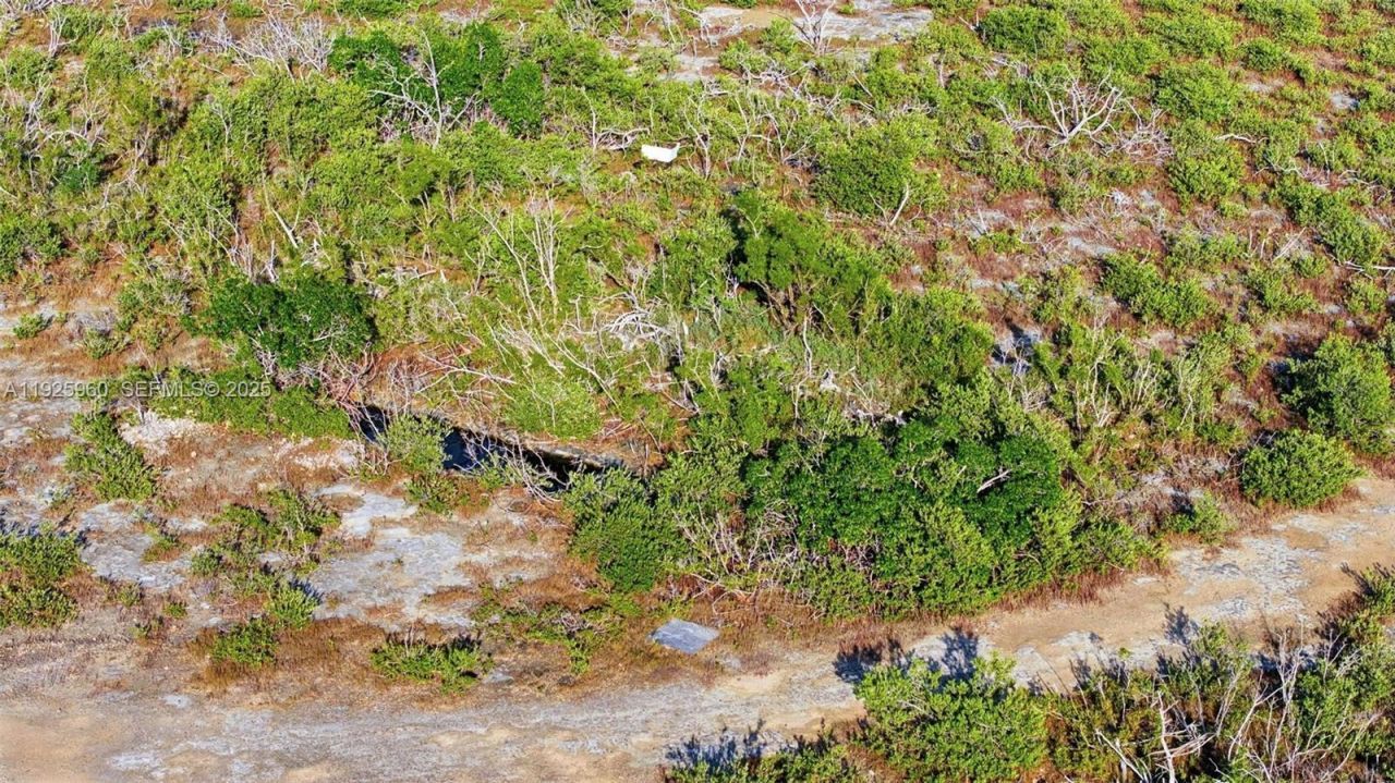 0 Niles Rd, Key Colony, FL 33042 Photo