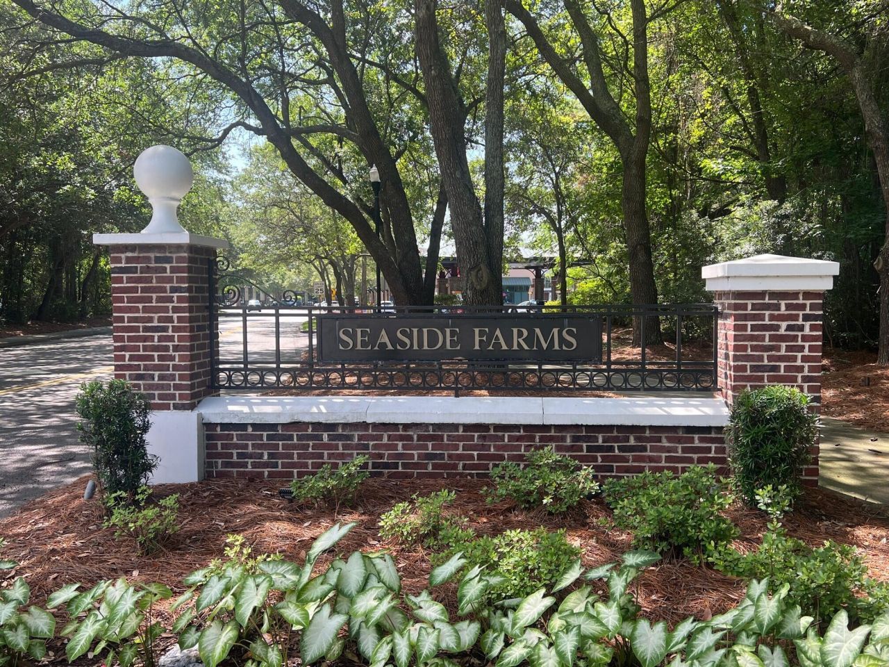 1440 Dahlia Road Photo 10