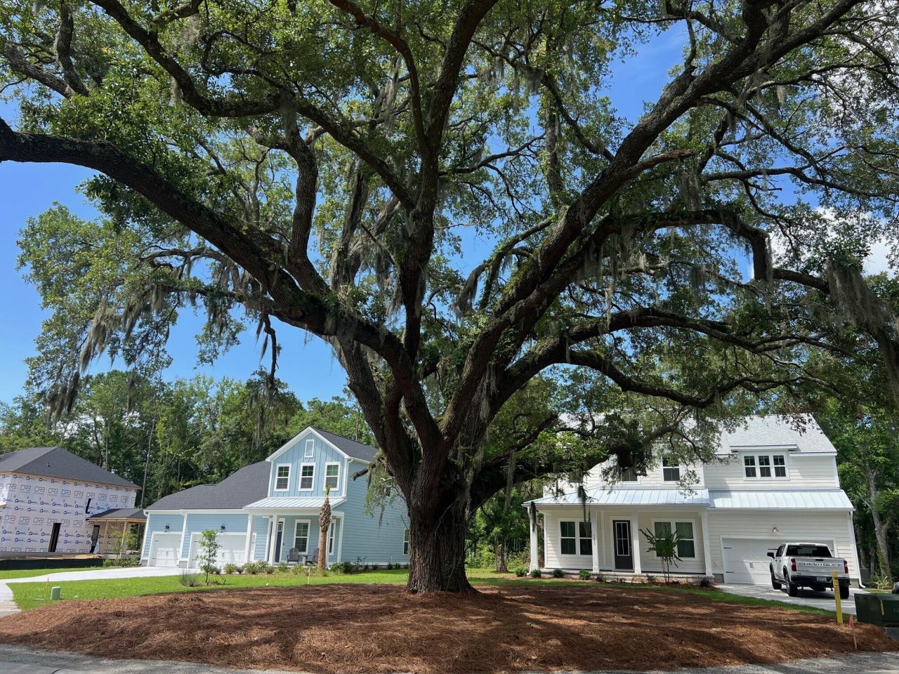 1440 Dahlia Road Photo 5