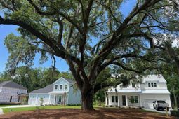 1440 Dahlia Road photo 4