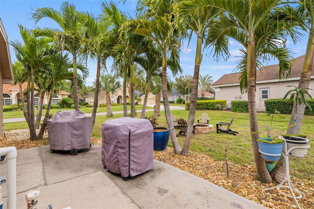 5497 Millbrook Way, Palm Harbor, FL 34685 Photo