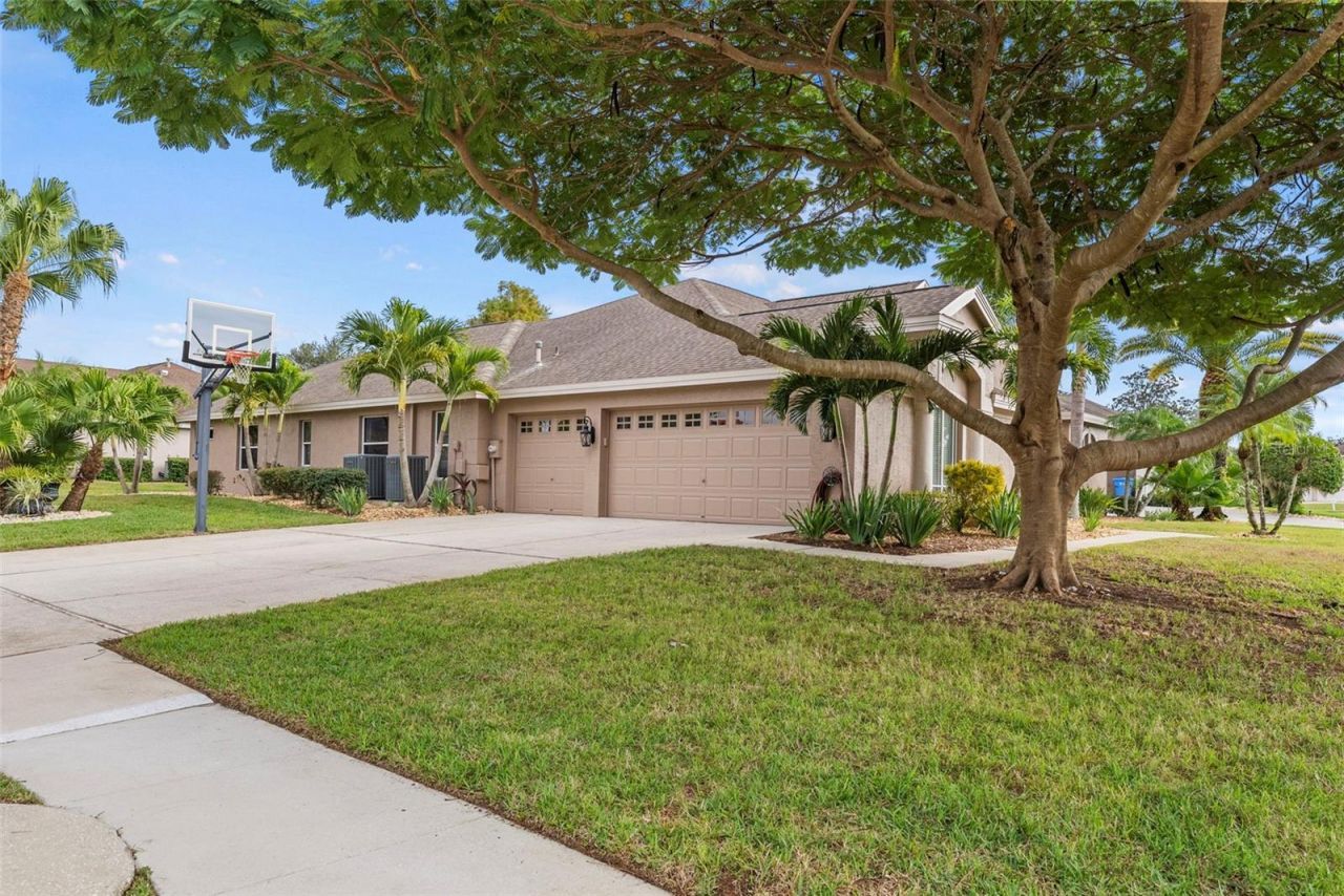 5497 Millbrook Way, Palm Harbor, FL 34685 Photo