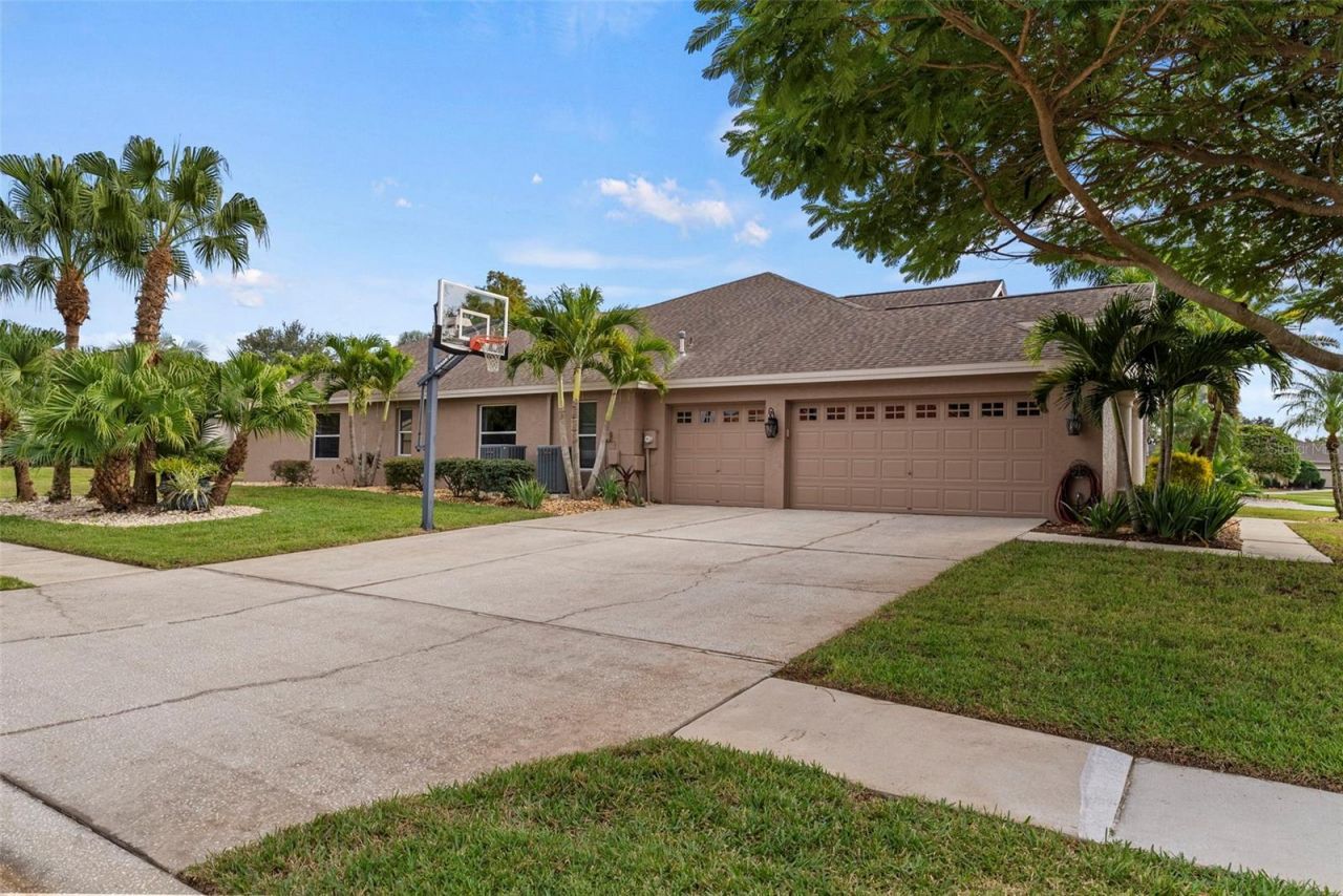 5497 Millbrook Way, Palm Harbor, FL 34685 Photo