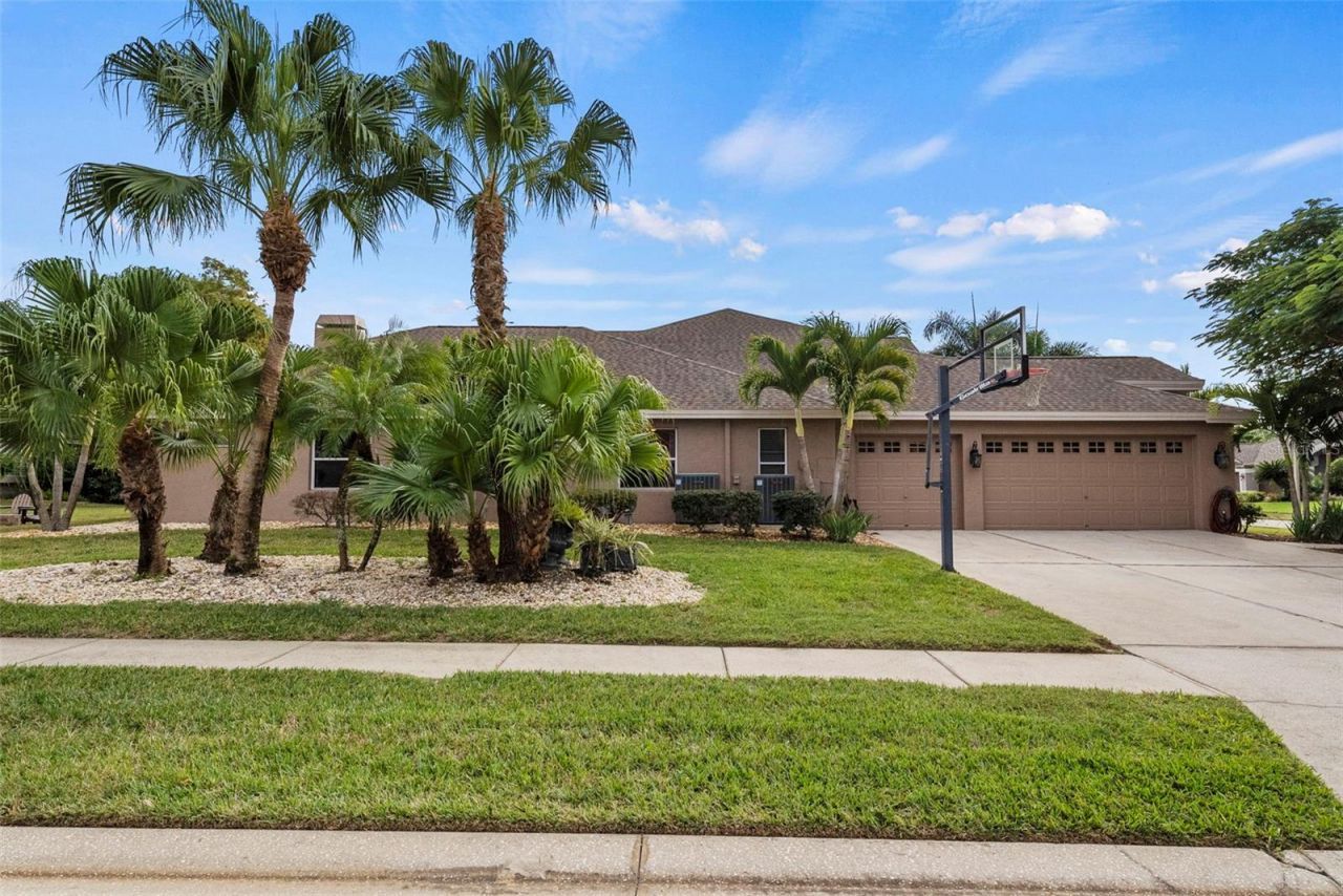5497 Millbrook Way, Palm Harbor, FL 34685 Photo
