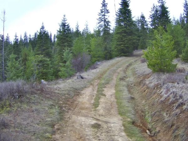 TBD Highway 11, Weippe, ID 83553