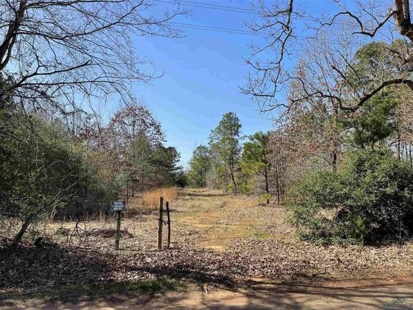 1997 ZINNA Road , Diana, TX 75640