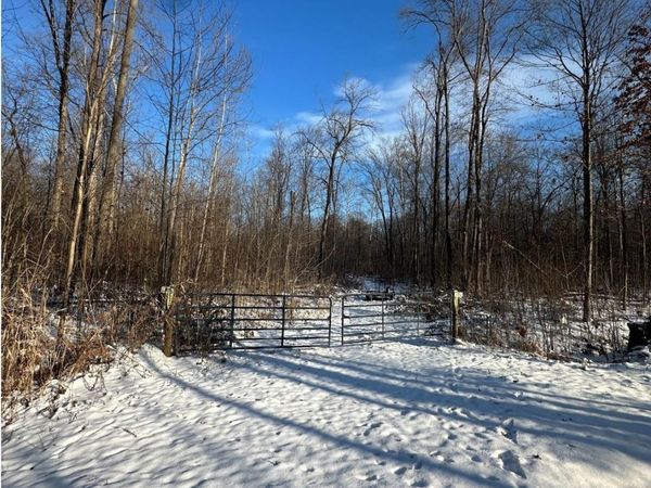 Hivon Road, Maybee, MI 48159