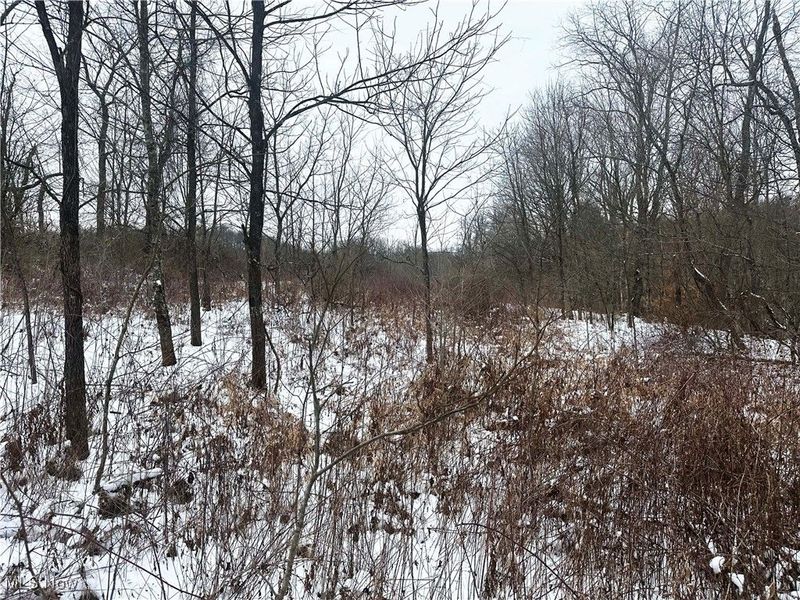 8765 Whitaker Road, Cambridge, OH 43725 Photo 17