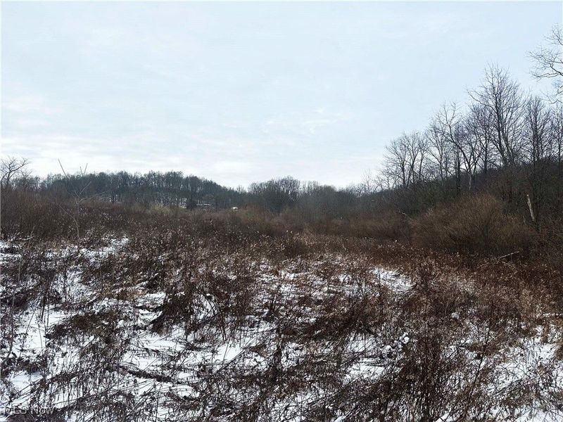 8765 Whitaker Road, Cambridge, OH 43725 Photo 18