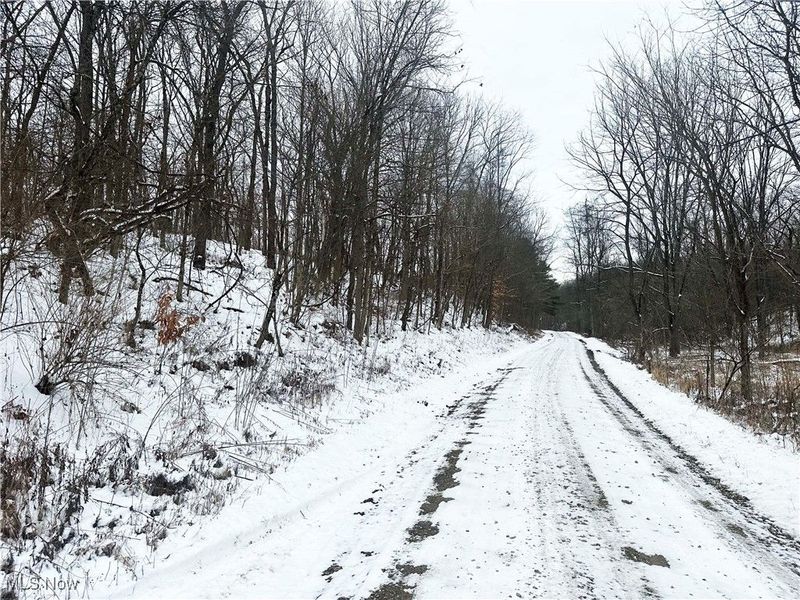 8765 Whitaker Road, Cambridge, OH 43725 Photo 3