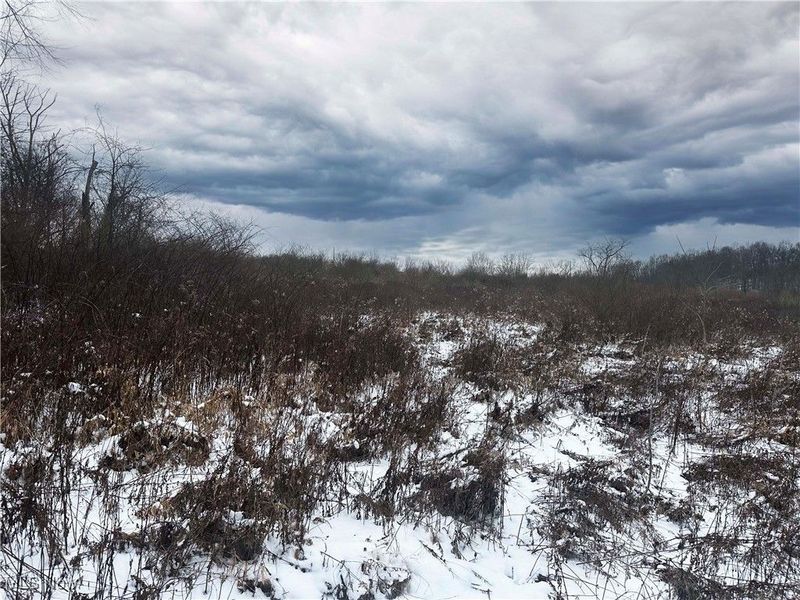 8765 Whitaker Road, Cambridge, OH 43725 Photo 5