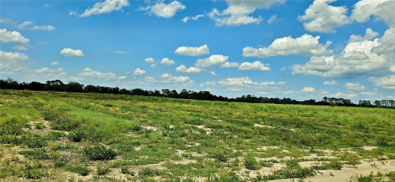 Mammoth Grove Road, Lake Wales, FL 33898 Photo