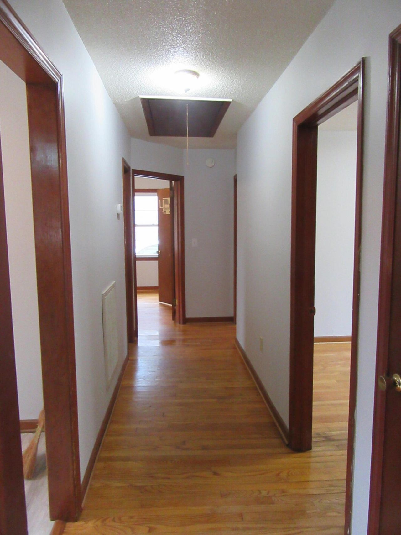 1253 Maxwell Street Photo 19