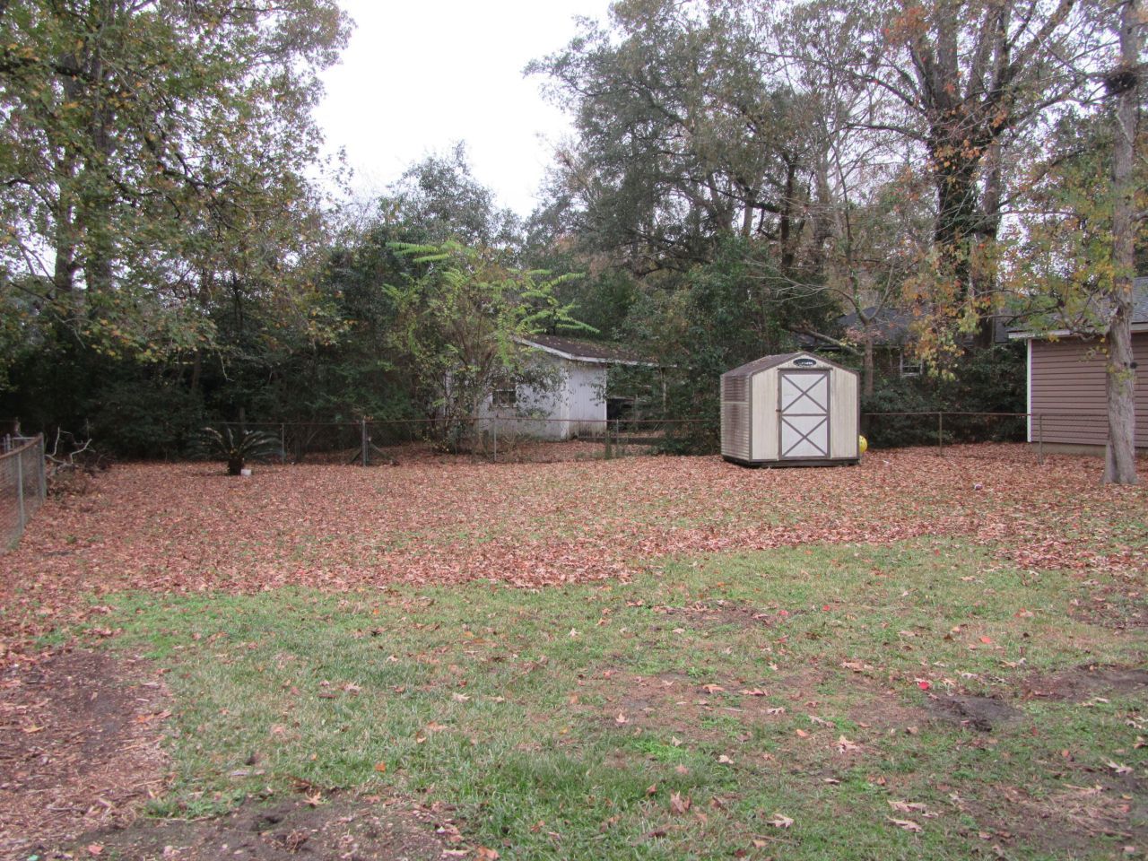 1253 Maxwell Street Photo 4