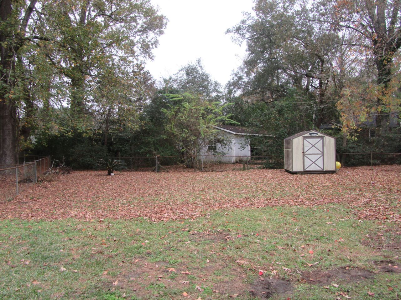 1253 Maxwell Street Photo 5