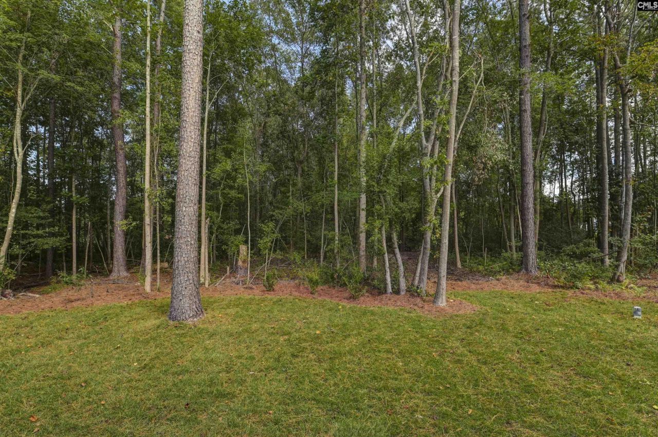 141 Shumpert Road Photo 21