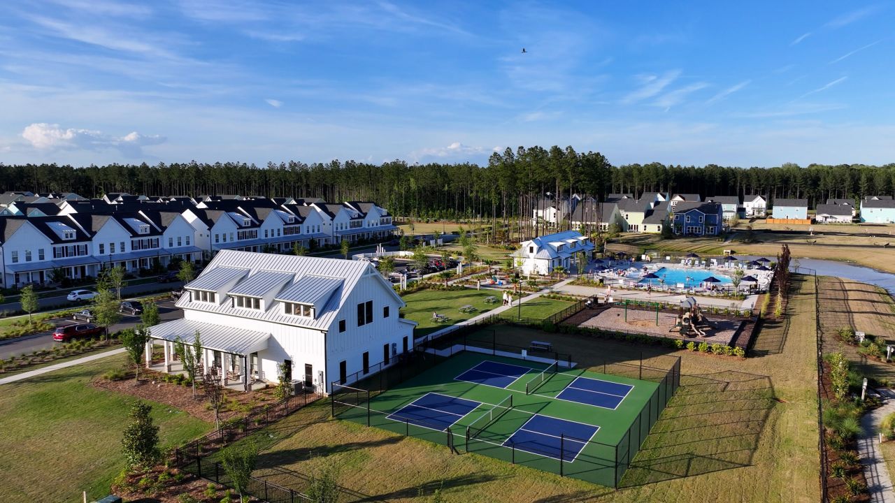 1042 Marsh Harrier Drive Photo 10