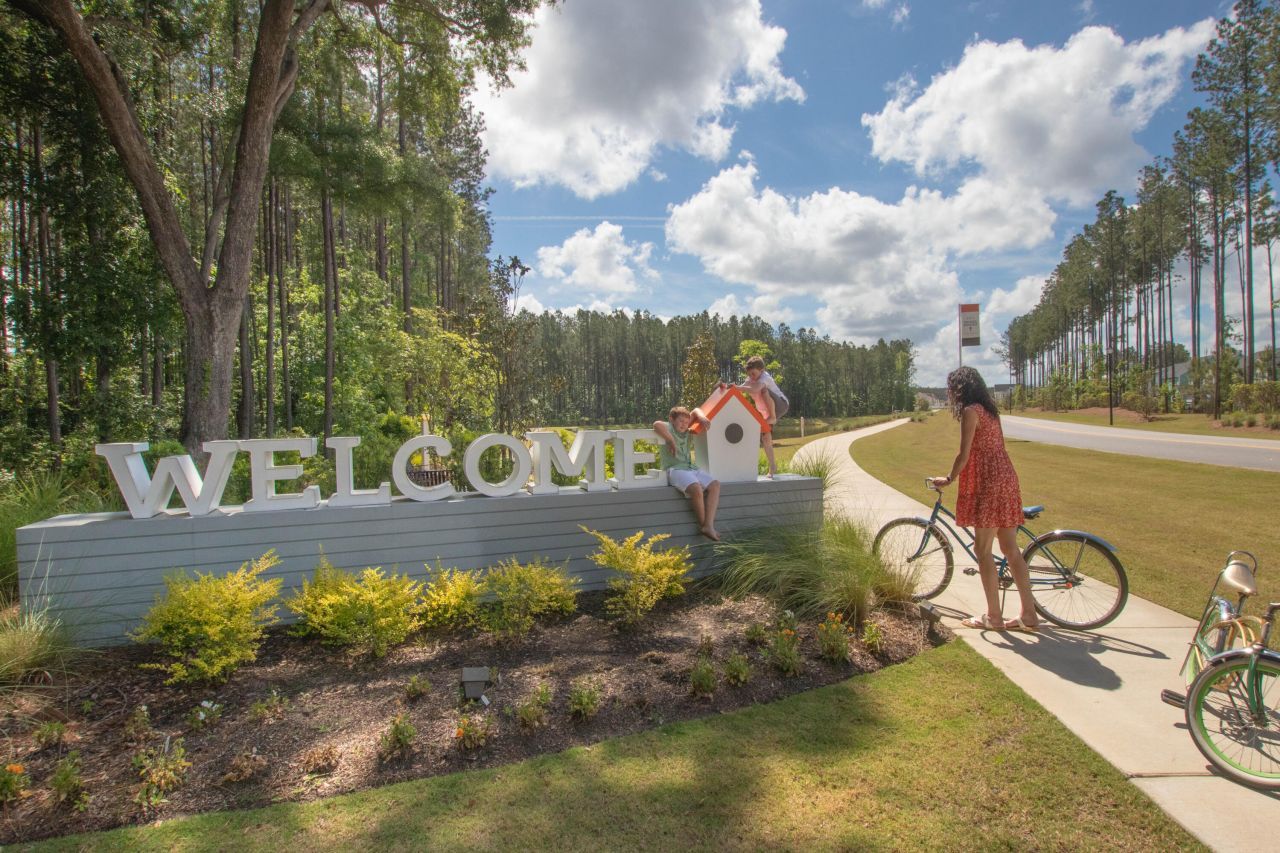 1042 Marsh Harrier Drive Photo 14