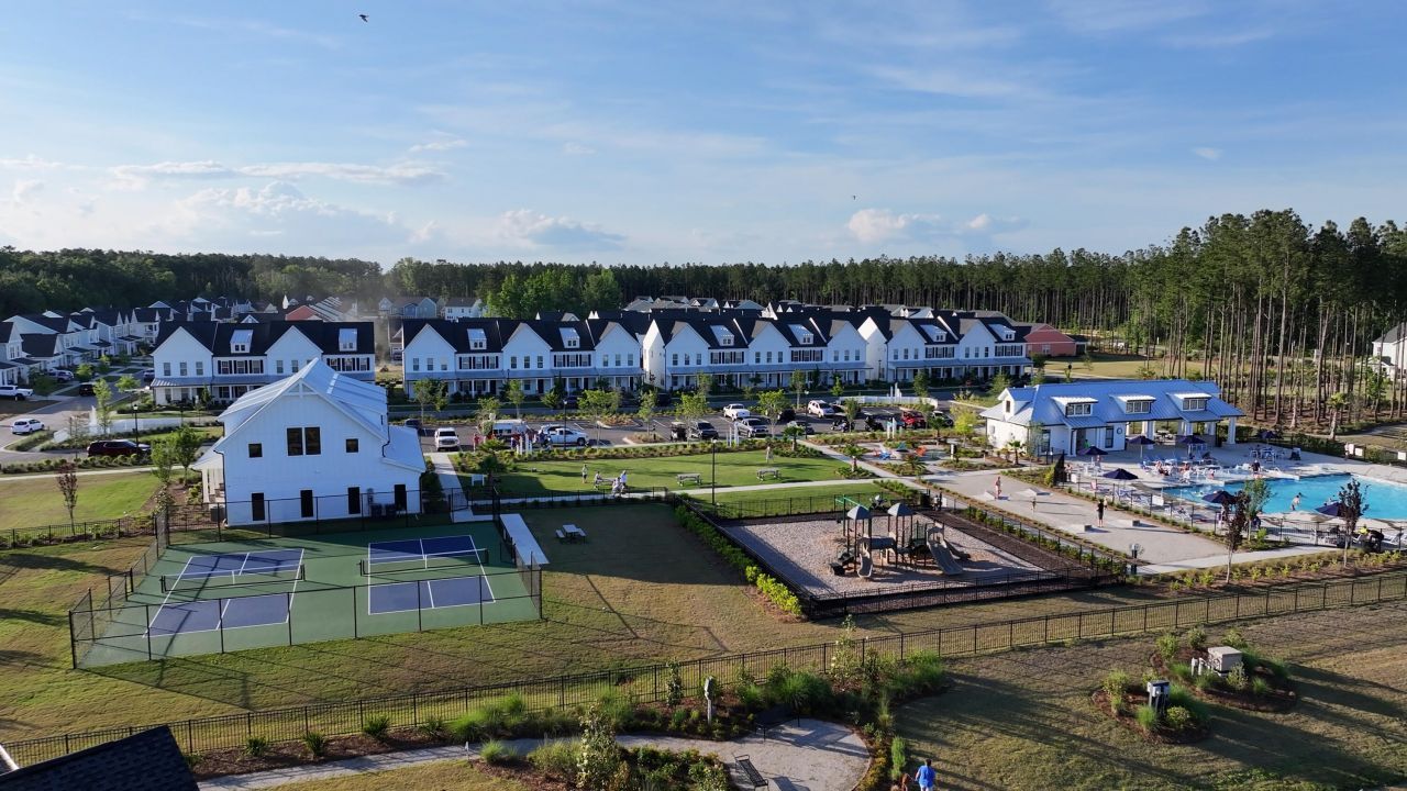 1042 Marsh Harrier Drive Photo 9