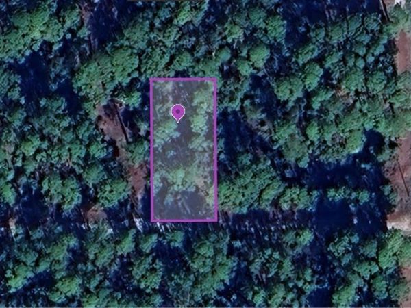 136 HAZEL AVENUE, GEORGETOWN, FL 32139