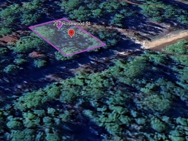 207 ROSEWOOD STREET, GEORGETOWN, FL 32139