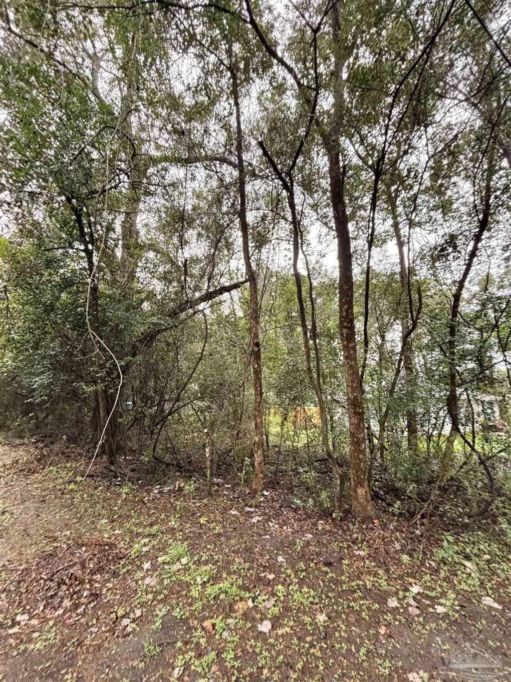 0000 Limit St, Milton, FL 32583 Main Photo