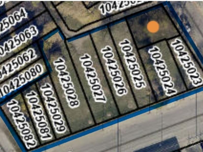 1644 E 49th Street, Cleveland, OH 44103 Photo 4