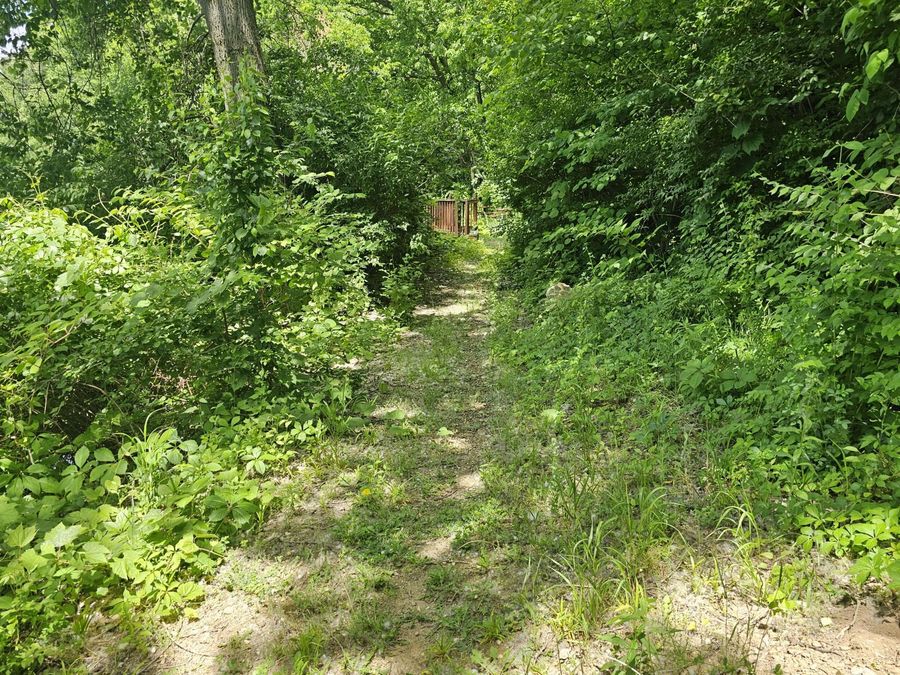 Property Image 27
