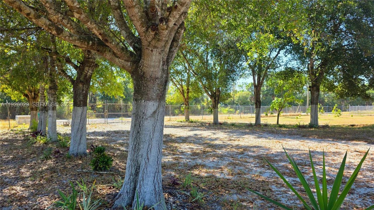 527 Perimeter Rd, La Belle, FL 33440 Photo