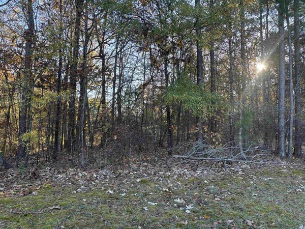 182 FAWN DR, Middleton, TN 38052