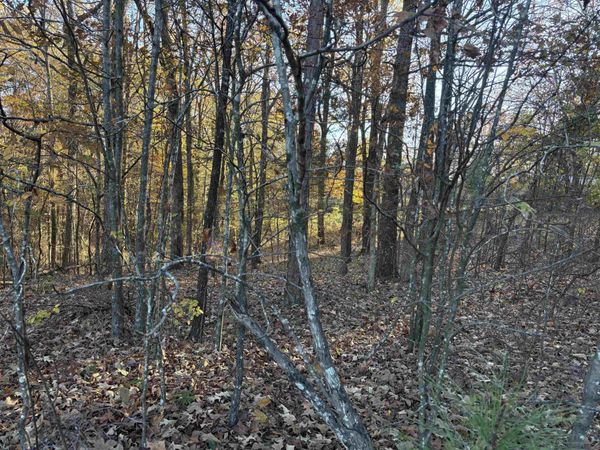 182 FAWN DR, Middleton, TN 38052