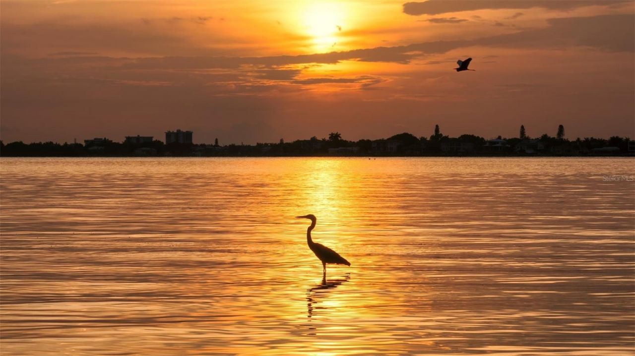 656 S Owl Drive, Sarasota, FL 34236 Photo