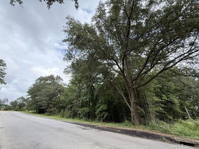 0000 Live Oak Lane, Barnwell, SC 29812