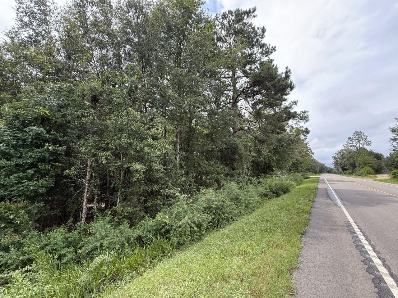 0000 Live Oak Lane Photo 13