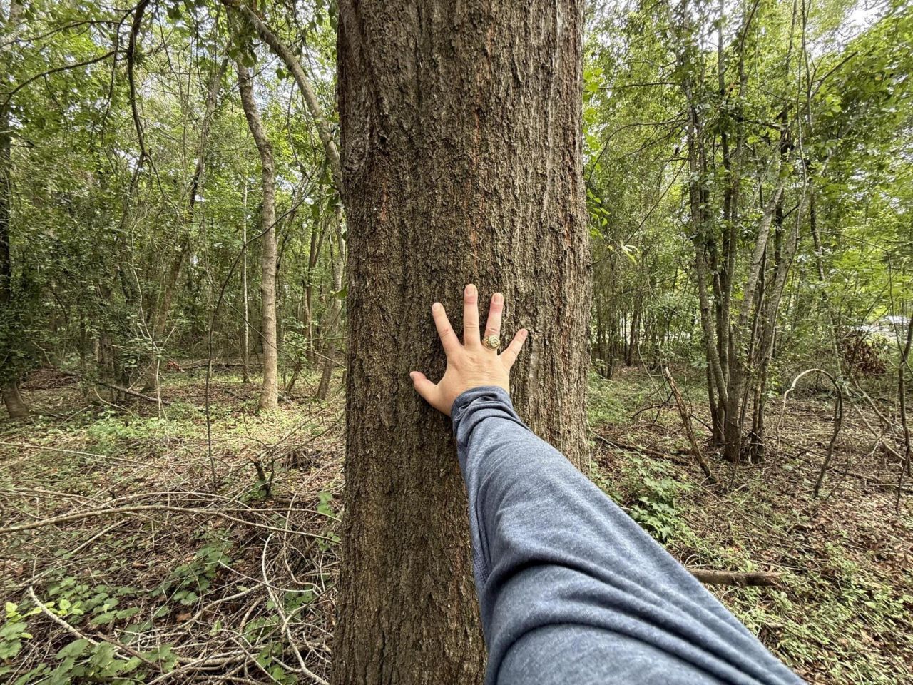 0000 Live Oak Lane Photo 15