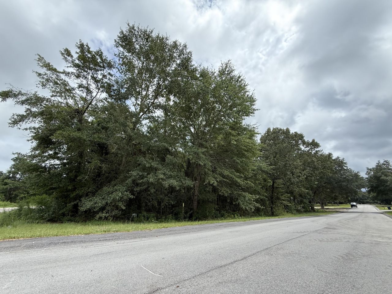 0000 Live Oak Lane Photo 18