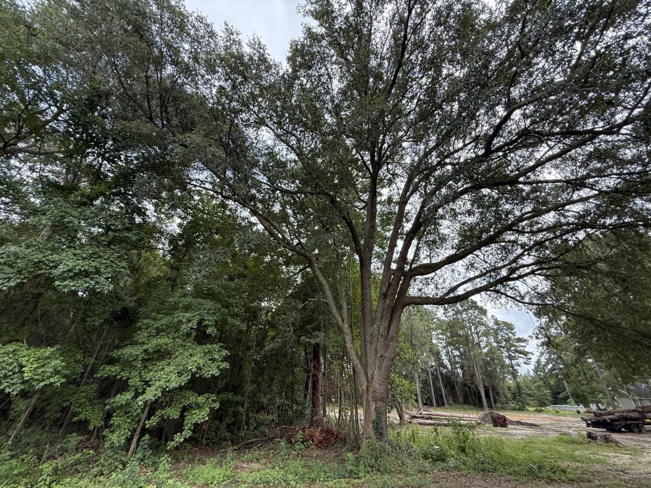 0000 Live Oak Lane Photo 20