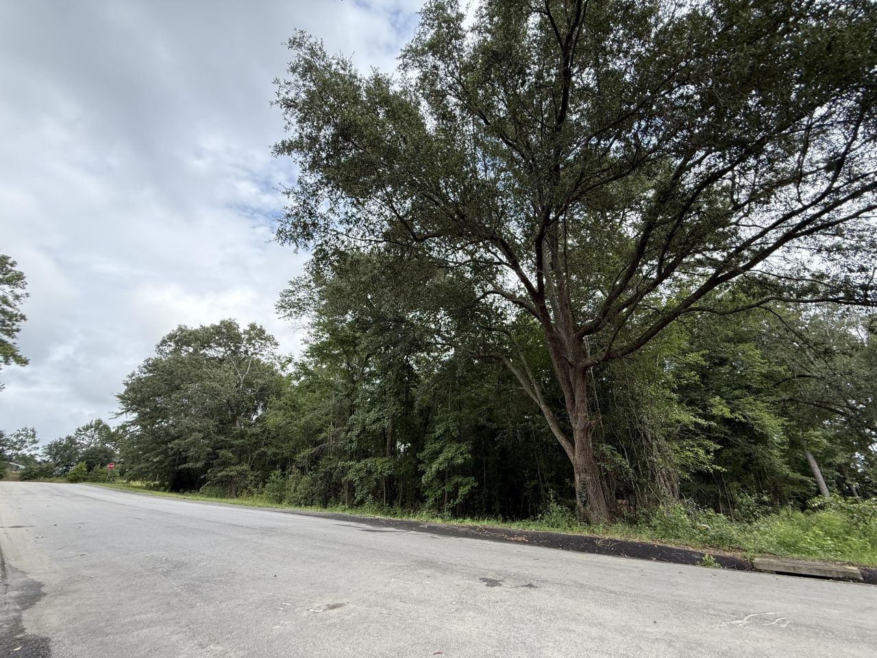 0000 Live Oak Lane Photo 21