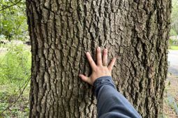 0000 Live Oak Lane photo 4