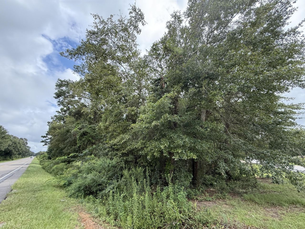 0000 Live Oak Lane Photo 7