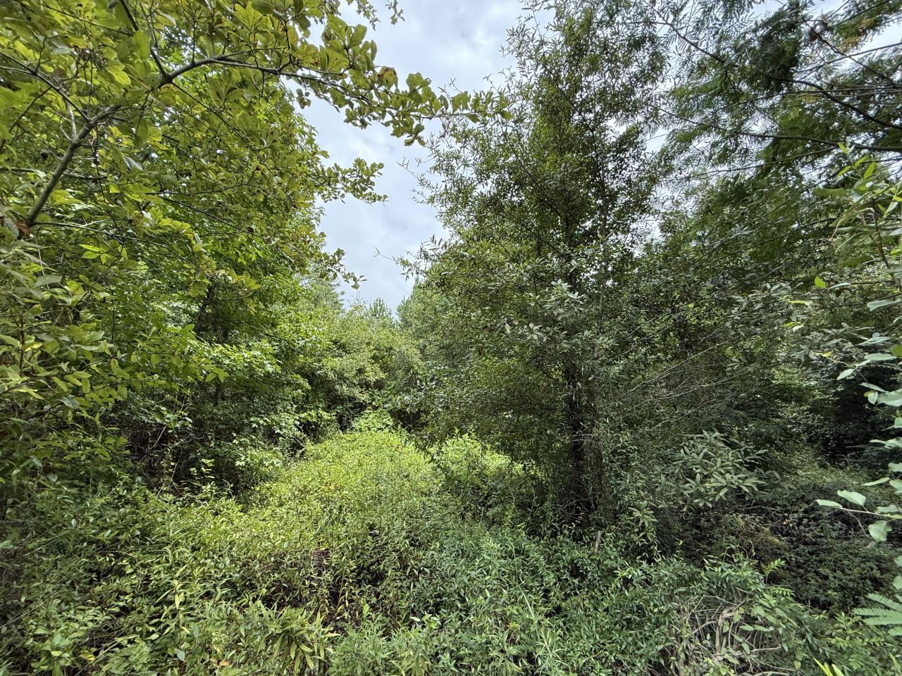 0000 Summer Drive Photo 13